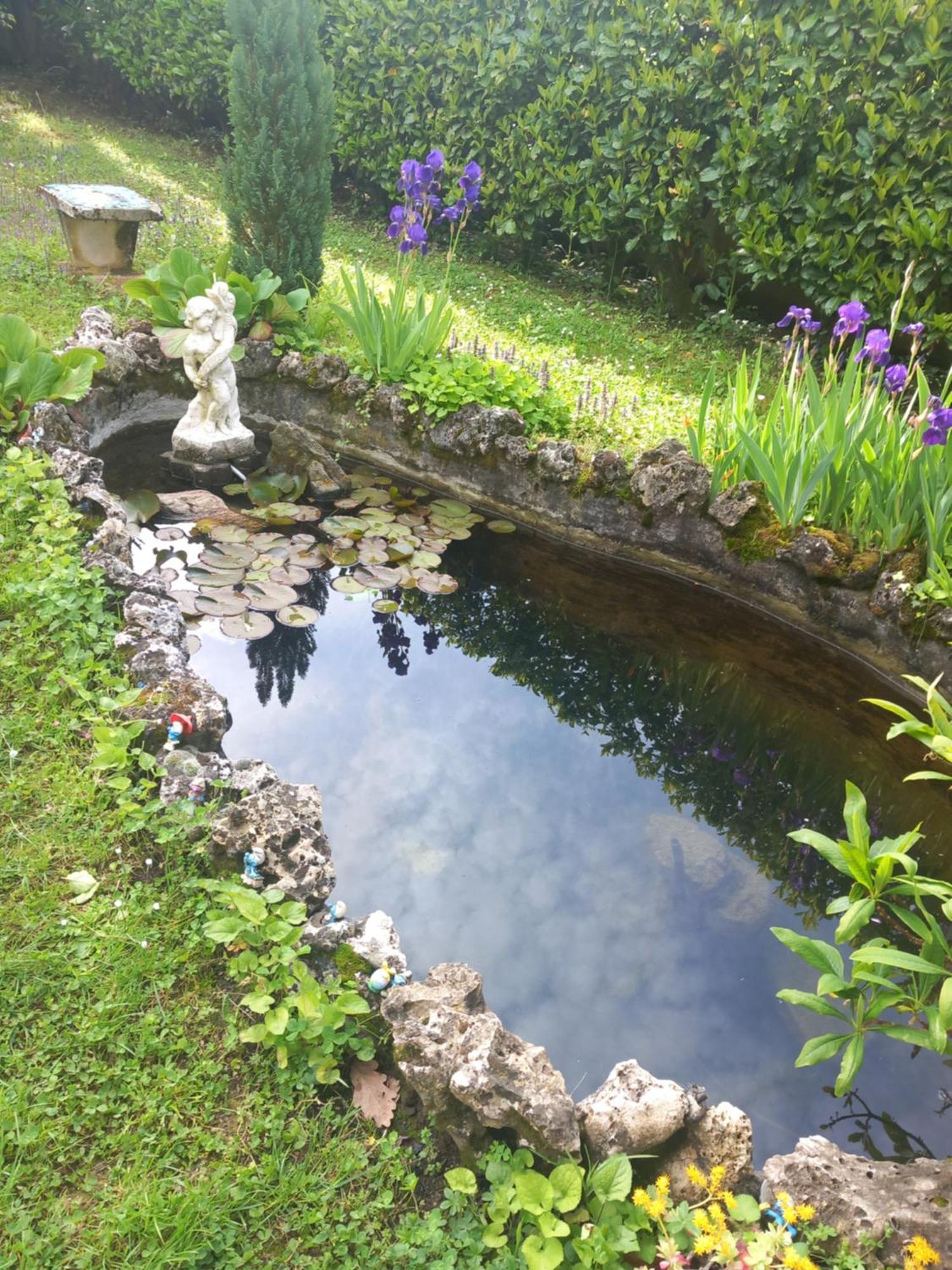 Il Laghetto Bed & Breakfast Torre Canavese Exterior photo